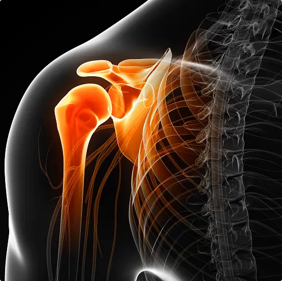 Medical illustration highlighting the anatomy of a human shoulder joint, used to explain the SAE procedure for treating frozen shoulder (adhesive capsulitis).